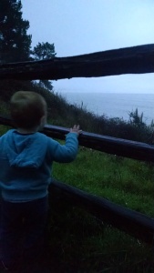 Alex looking at the Pacific.